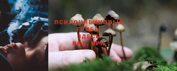 спиды Нягань