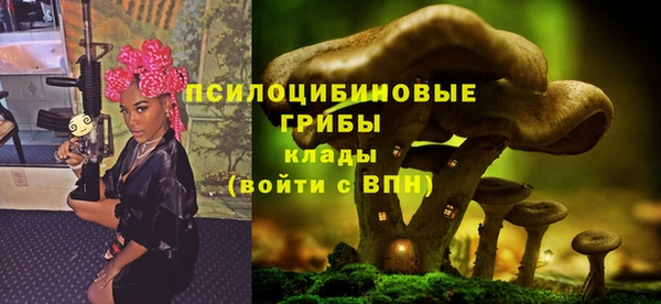 MESCALINE Гатчина