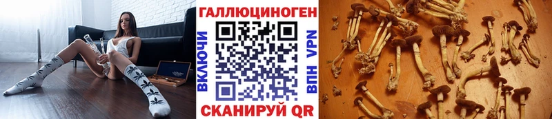 купить наркотик  Старый Крым  Галлюциногенные грибы GOLDEN TEACHER 